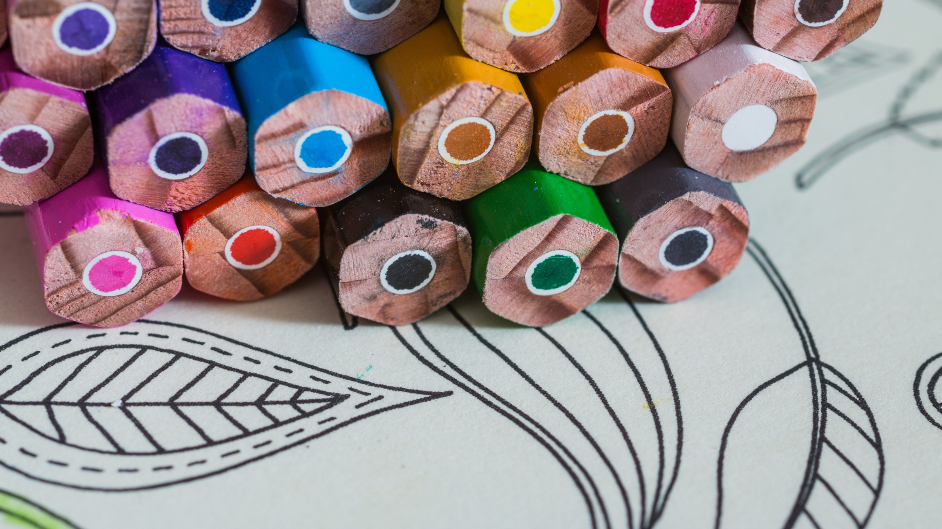 An array of colored pencils stacked on top of a coloring page with leaves